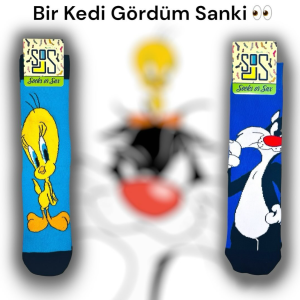 Bir Kedi Gördüm Sanki!